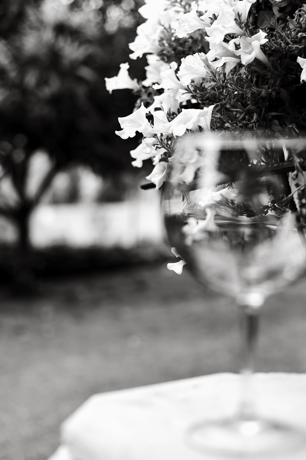 Una copa i flors blanques, en blanc i negre
