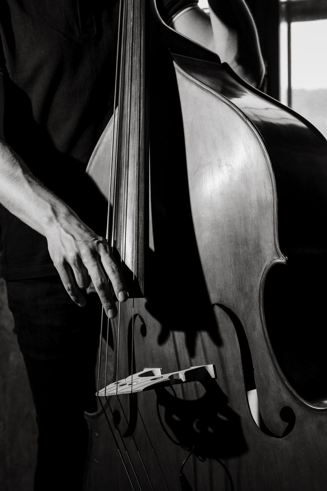 Detall de la mà sobre les cordes del contrabaix, en blanc i negre